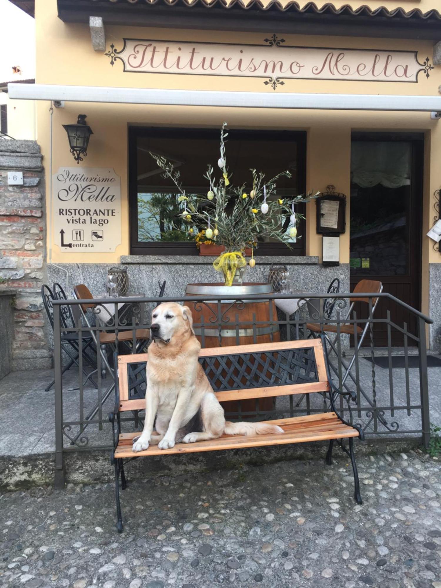 Mella Bellagio -La Corte - At The Lake With Parking Exterior photo
